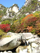 �y�G�[�XJTB�E�������s�z�R���c�A�[�E�R���̗��فE�z�e���\��@